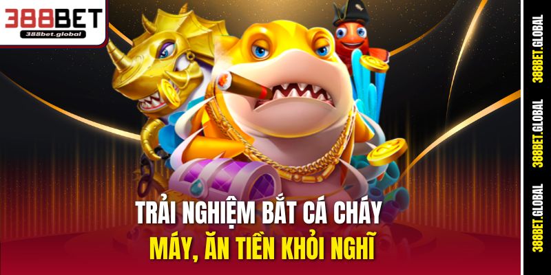 Trải nghiệm bắt cá cháy máy, ăn tiền khỏi nghĩ